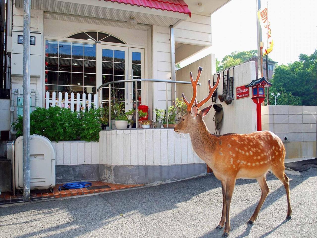 Hotel Cotton 100% Nara Dış mekan fotoğraf